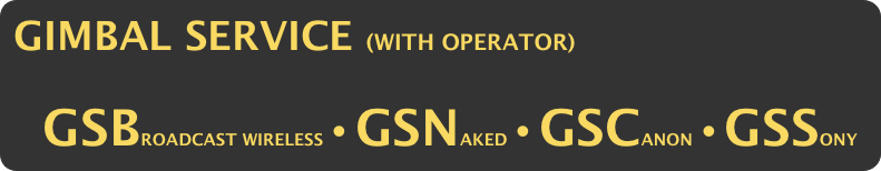 GIMBAL SERVICE (WITH OPERATOR) 
*
*  
   GSBROADCAST WIRELESS•GSNAKED•GSCANON•GSSONY 